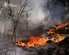 Incendiu de proporții la Cernobîl. Focul s-a extins la peste 1.100 de hectare