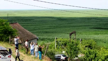 Pădurea mutantă de pe fundul fostului lac de acumulare Kahovka: sălciile hibride schimbă fața ecosistemului