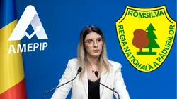 Șefa AMEPIP, Anișoara Ulcelușe, ar putea stopa numirea ilegală a directorului general de la Romsilva, dar…se mai gândește