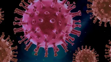 Gripa, ”amenințarea numărul 1” pentru o viitoare pandemie