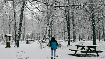 Pe urmele lui Eminescu. Unde sunt „Pădurea de Argint” și „Codrii de Aramă” şi cum le poţi vizita