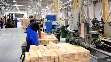 Un sector de 10 miliarde de lei al industriei româneşti riscă să se prăbușească. Care sunt motivele