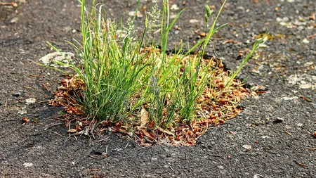 50 de milioane lei pentru repararea străzilor din București. Când încep lucrările?