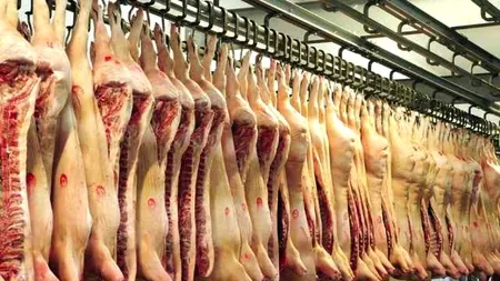 România importă masiv carne de porc. O parte vine congelată de la mii de kilometri