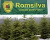Reorganizare la Romsilva după modelul Caragiale