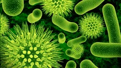OMS: Lista cu bacteriile rezistente la medicamente, care amenință sănătatea la nivel planetar