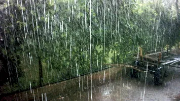 „Taxa pe ploaie”: Facturi-record la apa meteorică în Buzău și Râmnicu Sărat. De ce zeci de comune scapă de plată