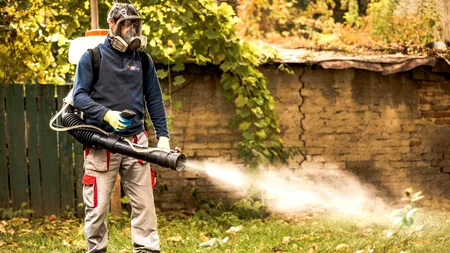 Deratizare, dezinfecție și dezinsecție la Institutul Cantacuzino