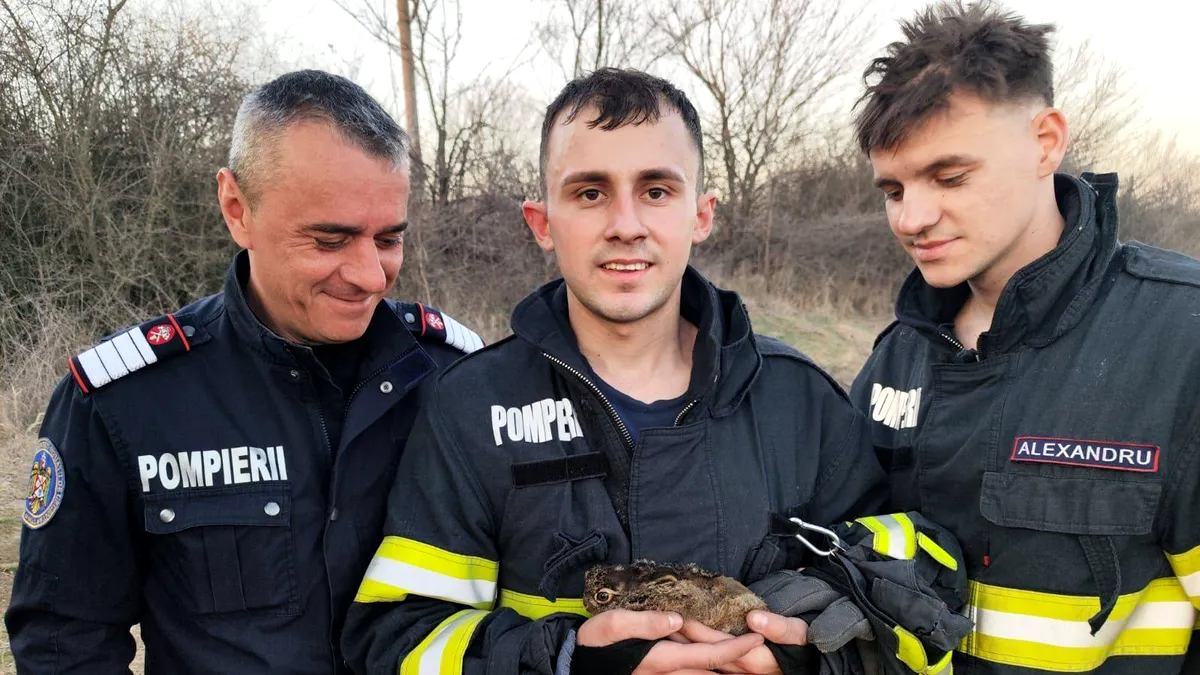 Pompierii deja se pregătesc de Paști! Vezi pe unde au găsit iepurași