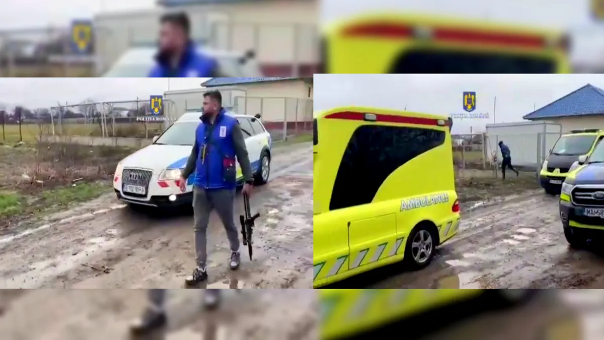 Alertă la Galați după ce două persoane au fost sfâșiate de câini pe un maidan de la marginea orașului