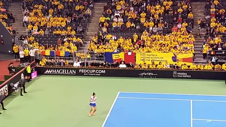 Stadionul Gheorghe Hagi și arena de tenis Simona Halep, gata de a fi construite la Constanța