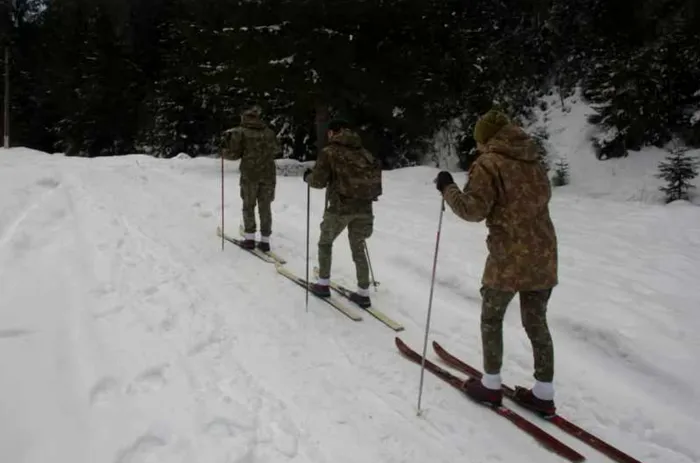 Schiurile se folosesc pentru deplasarea pe distanțe foarte lungi, care presupune rezistență