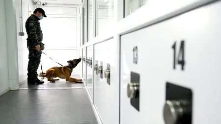CNSU a aprobat proiectul pilot privind detectarea persoanelor infectate cu SARS-CoV-2 cu ajutorul câinilor special antrenaţi