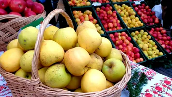 Investigație europeană. 85% dintre merele din magazine conțin mai multe pesticide, unele chiar periculoase