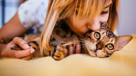 Ştiinţa explică de ce pisicile ne fac mai calmi şi fericiţi
