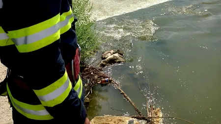 Giurgiu: un tânăr căzut în Argeș este căutat de scafandri de două zile, fără rezultat