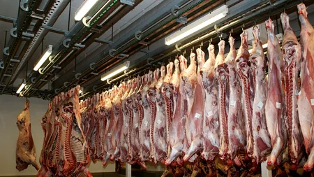 Sisteme de supraveghere în abatoarele din Spania, ca animalele să nu mai fie maltratate