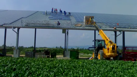 Cererea de panouri fotovoltaice a crescut și de până la 100 de ori, furnizorii sufocați de comenzi