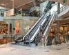 Temu şi Shein au dat lovitura de graţie unui retailer american de modă, prezent timp de 5 ani şi în mall-uri din România