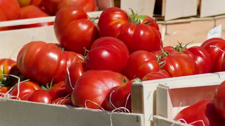 MADR are fonduri suplimentare pentru subvenția la tomate