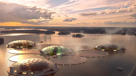 O inimă culturală eco va bate la Helsinki