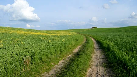 Amendă de 15.000 lei pentru un fermier care a împrăștiat gunoi pe un teren agricol. Motivul, disconfortul olfactiv