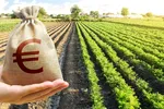 Unde se duce, de fapt, bugetul agricol colosal al UE