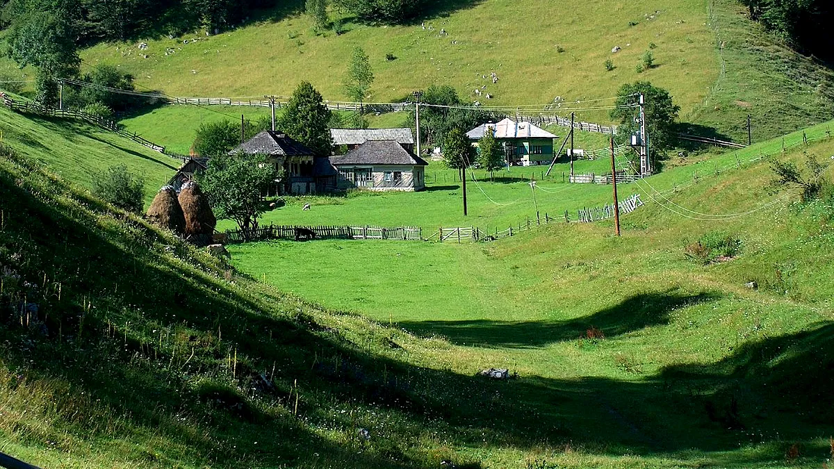 Studiu, de Ziua Sustenabilității: România și-a consumat deja resursele naturale disponibile pentru tot anul