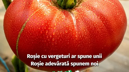 Ați auzit de „Roşia cu vergeturi”? Un comerciant vrea să profite de pe urma scandalului declanşat de George Buhnici