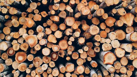 Cadou de Ziua Națională: TVA redus pentru lemnele de foc