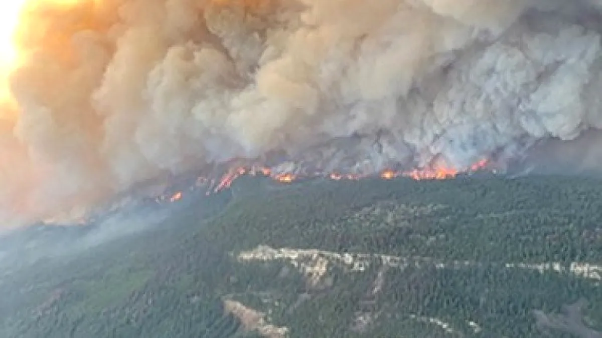 Valea Călugărească, Prahova: Zeci de hectare de teren cu vegetație uscată au luat foc sâmbătă
