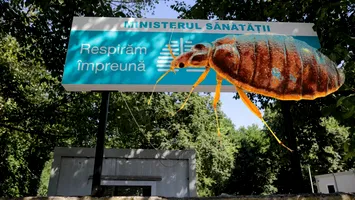 Criza ploşniţelor, la un spital din Bucureşti. Nu se mai primesc urgenţe