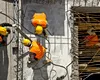 Costurile orare ale forței de muncă în UE au variat între 11 EUR și 55 EUR, în 2024. Unde se află România