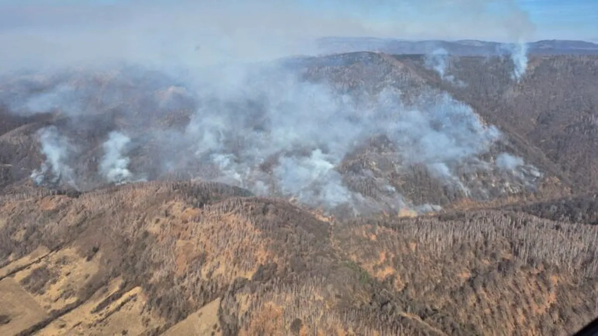 Incendii de vegetație în România: Victime și pagube semnificative în urma focarelor din martie 2025