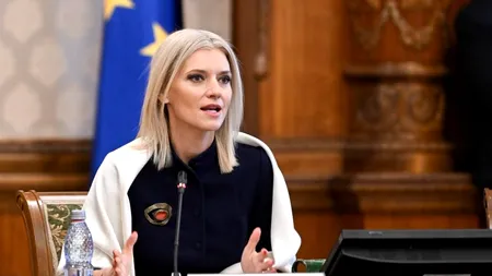 Alina Gorghiu: Senatul va decide retragerea proiectului privind asociaţiile şi fundaţiile din procedură legislativă