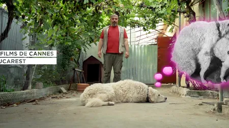 Așteptarea a luat sfârșit! Biletele pentru Les Films de Cannes à Bucarest .13 s-au pus în vânzare
