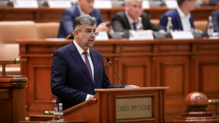 Ciolacu anunță convocarea de urgență a Parlamentului. Se modifică legea privind populația de urși bruni