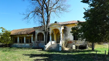 Un conac cu teren de 2 hectare din Gorj se vinde la preț de apartament