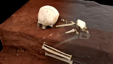 Schelet de două mii de ani descoperit în Ialomița