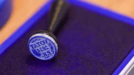 Alegeri prezidențiale 2024. Ce i-a determinat pe politicieni să iasă la vot?
