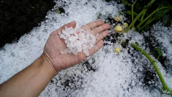 În timp ce rachetele tac, județul Vrancea a fost lovit de cel mai sever episod de grindină din acest an