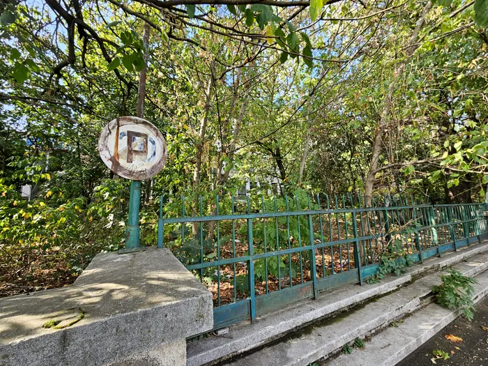 Institutul Pasteur, o instituție de cercetare în declin: de la pionierat în Europa la doi angajați și pierderi financiare majore