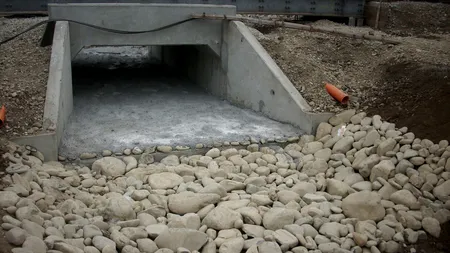 Licitație de 148 de milioane de lei pentru reabilitarea de poduri, podeţe şi tuneluri pe linia CF 116 Filiaşi - Livezeni