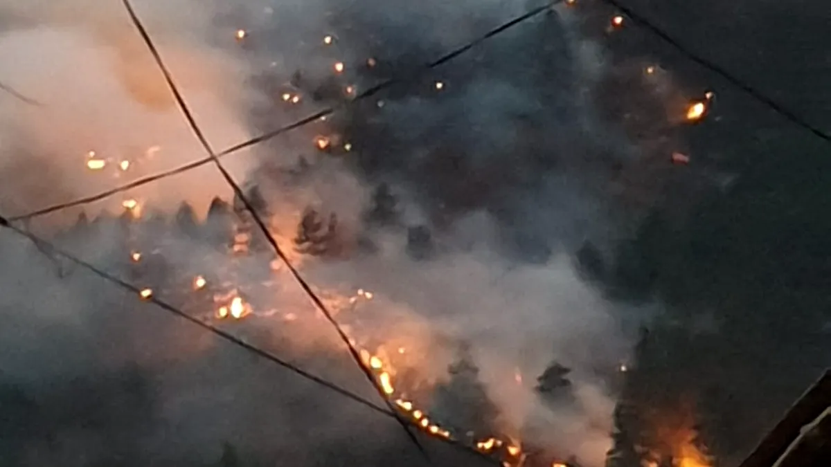 Un incendiu de vegetaţie ameninţă una din cele mai mari plantaţii de măslini din centrul Greciei