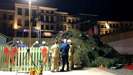 Brad de 20 de metri căzut peste  mai multe persoane. O femeie a murit
