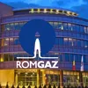 Romgaz se finanțează și de pe piața bancară. Depozit de 200 de milioane lei, la Exim Banca Românească