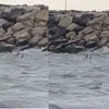 Panică pe litoral. Un obiect care seamănă cu o dronă, filmat în mare la Costinești