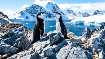 Lumea ascunsă de sub gheață: 332 de canioane gigantice descoperite în adâncurile Antarcticii