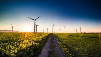 România reorganizează sistemul de colectare a datelor agricole: de la RICA la RDDA