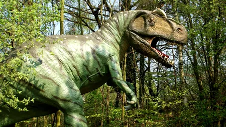 Descoperire remarcabilă în deșertul Gobi: un dinozaur cu doar două gheare schimbă perspectiva asupra evoluției speciilor
